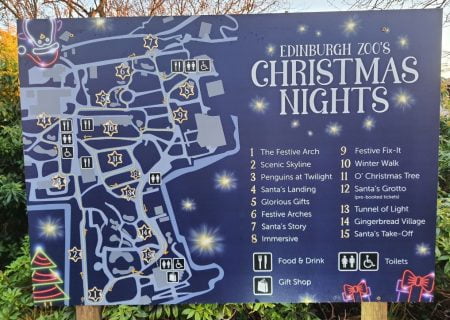 Top 10 Things to Do in Edinburgh for Christmas - Edinburgh Zoo Christmas Events 2021